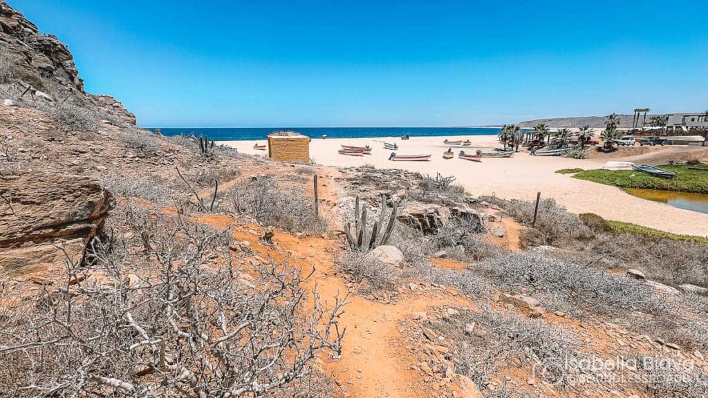 Desert path leads to a sandy beach with boats, palm trees, and ocean view under clear blue skies. Sparse vegetation and rocks surround.