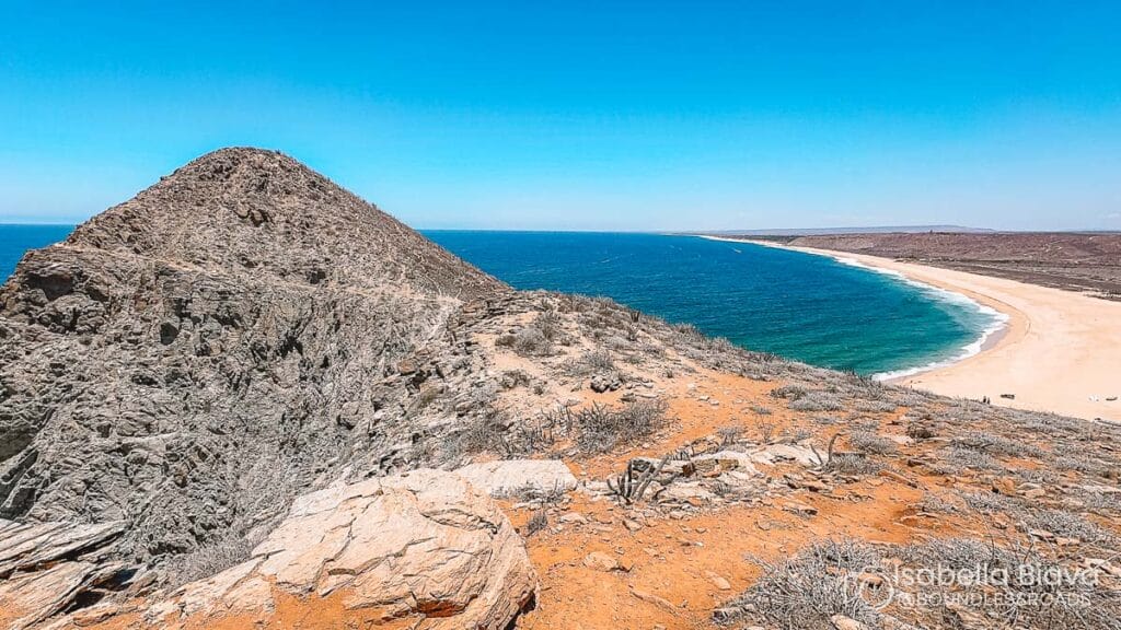 A rugged cliff overlooks a vast beach and turquoise ocean under a clear blue sky, surrounded by dry vegetation and rocky terrain.