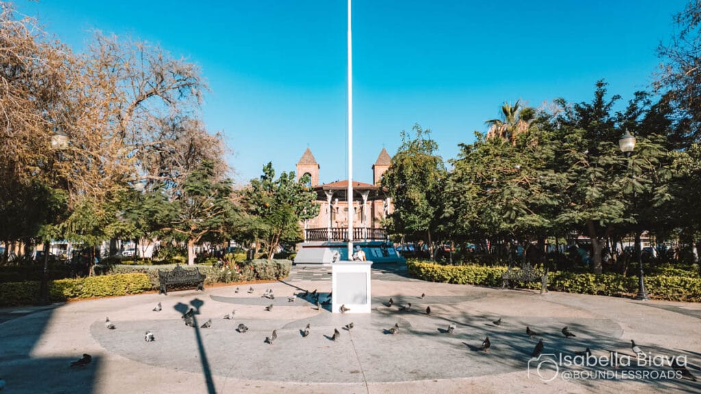A public square featuring a gazebo, surrounded by trees. Pigeons rest on the ground, with a few people nearby enjoying the day.
