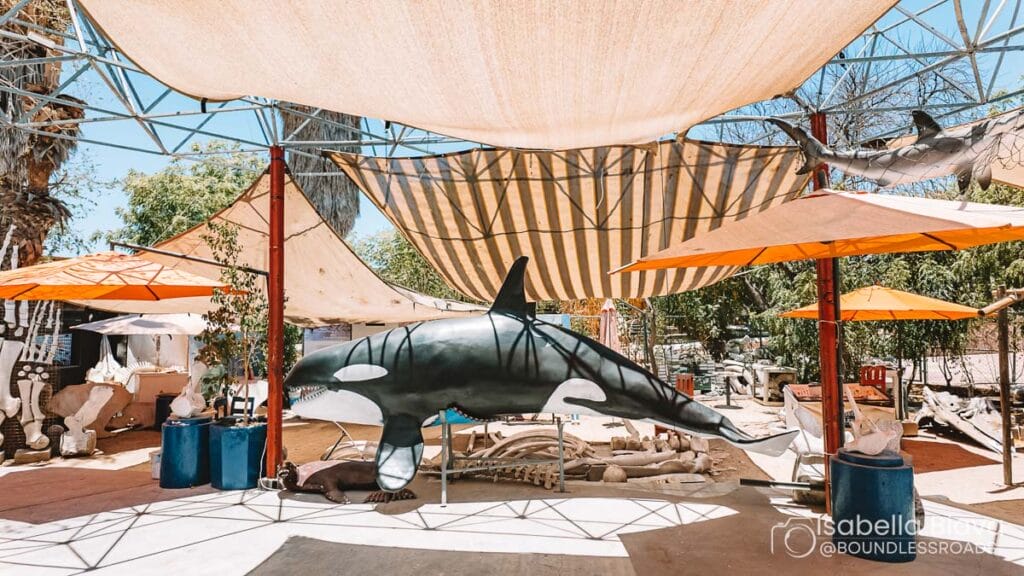 Outdoor courtyard features large orca sculpture, colorful umbrellas, and shaded seating. Various animal sculptures and natural elements create an artistic, playful atmosphere.