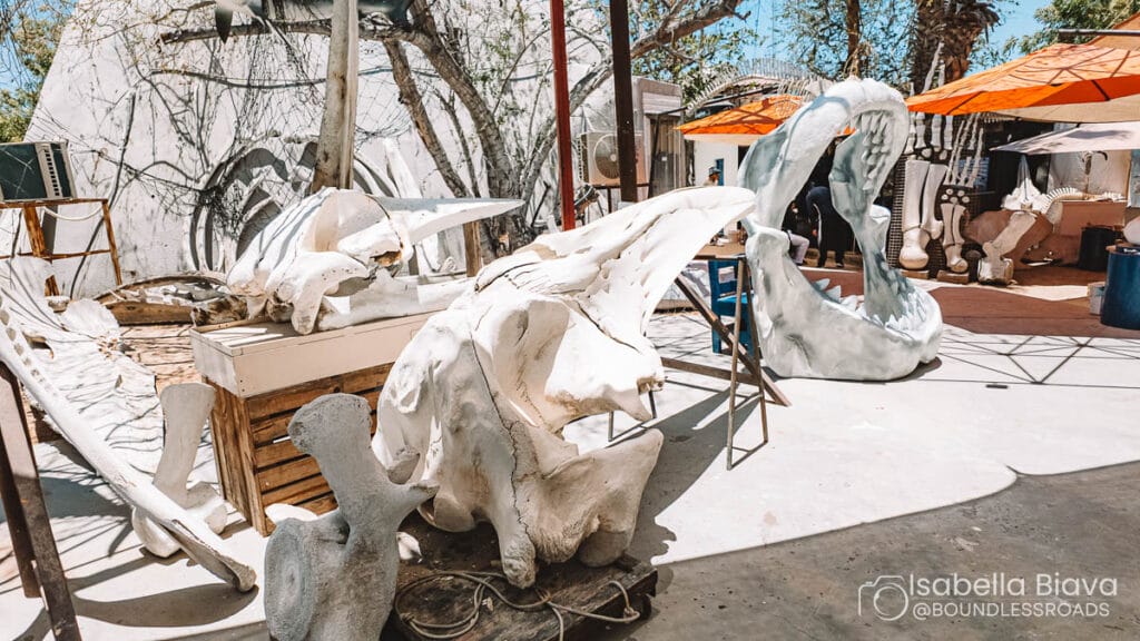 Outdoor art exhibit featuring large bone sculptures, including jaws and vertebrae. Orange umbrellas provide shade; trees and netting surround the area.