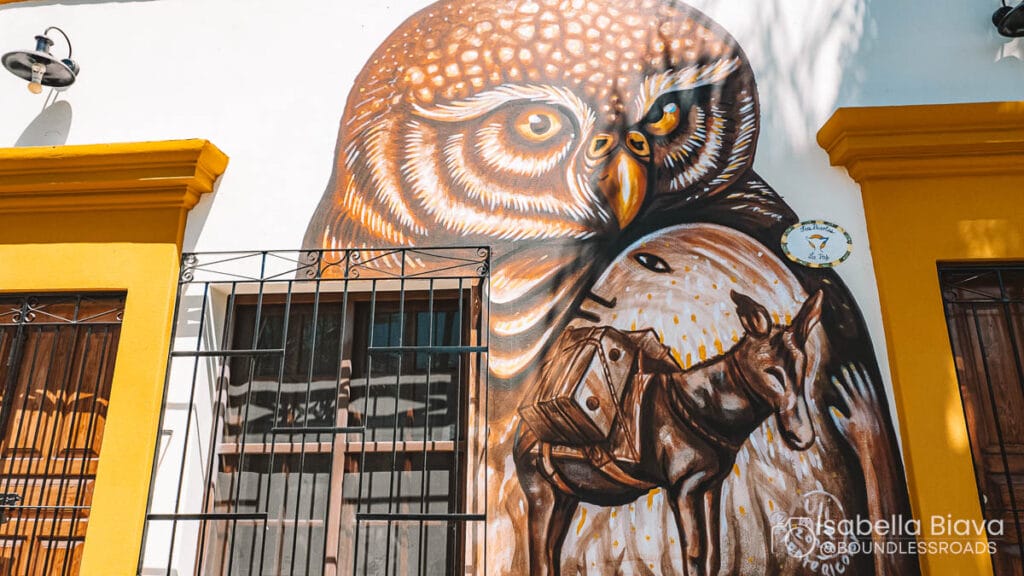 Colorful mural depicting an owl and donkey on a building facade. The artwork covers multiple windows and is vibrant in design.