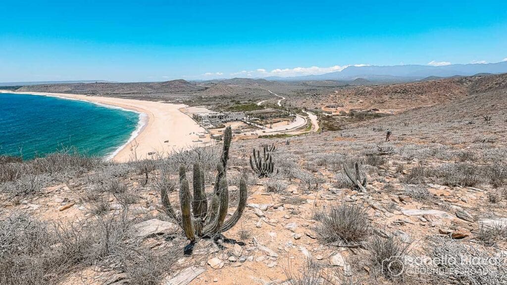 A vast desert landscape with cacti overlooks a sandy beach and turquoise sea. A person walks downhill under a clear blue sky.