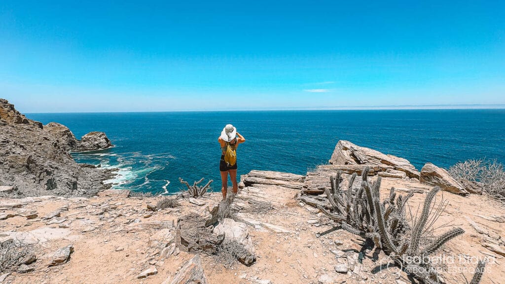 A person with a backpack views the vast ocean from a rocky cliff, surrounded by sparse desert vegetation and clear blue sky.