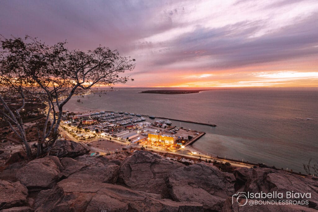A coastal cityscape at sunset with a vibrant sky, marina, and distant island, viewed from a rocky hill with a silhouetted tree.