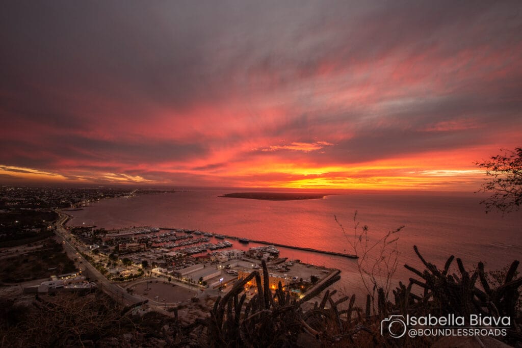 Sunset view over La Paz, Mexico, with vibrant sky, marina, and distant land. Cacti silhouette in the foreground enhances the scenic beauty.