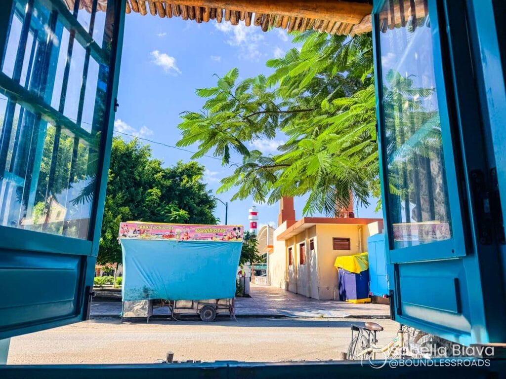 Open window view of street and trees outside.