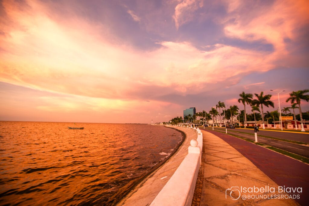 Scenic seaside sunset with vibrant sky and palm trees.