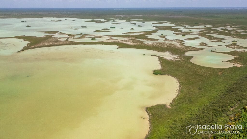 Aerial view of serene coastal wetlands.